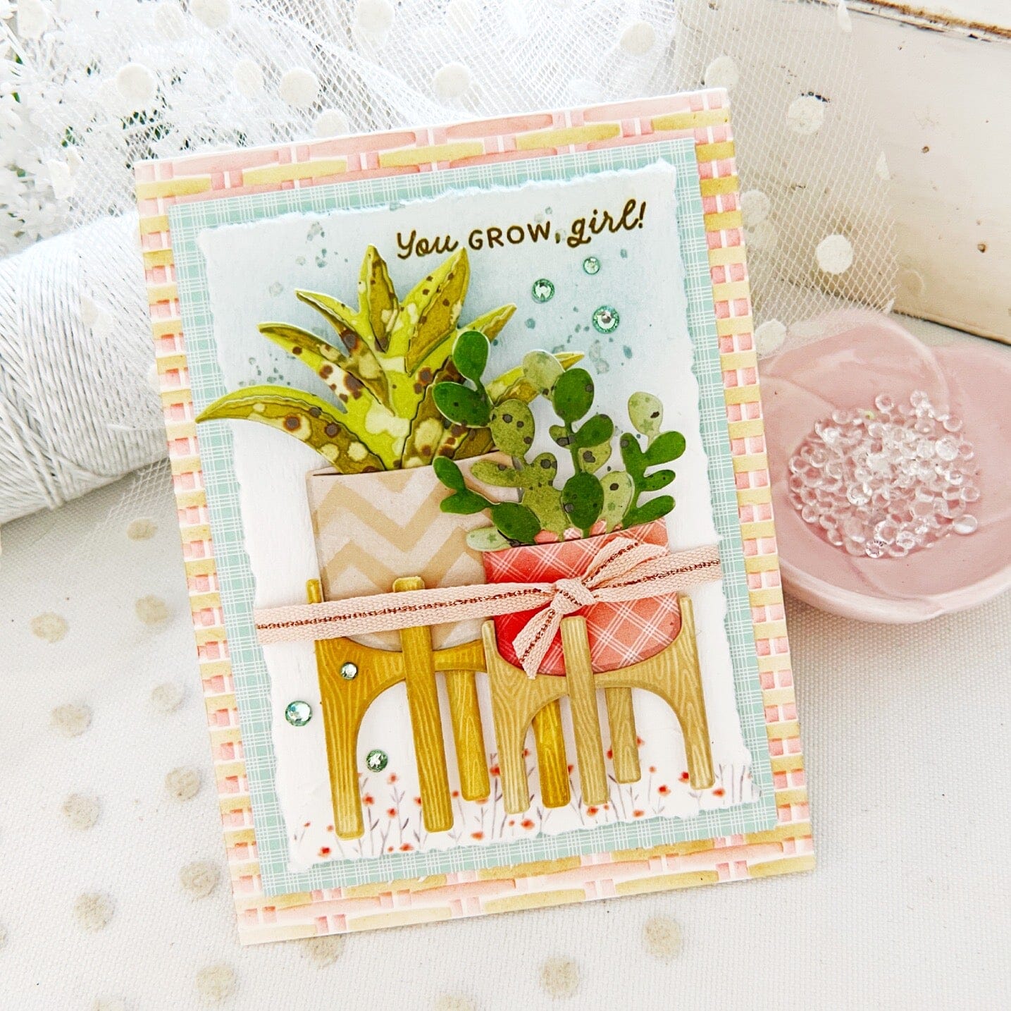 Plant it: Silver Dollar Succulent Die