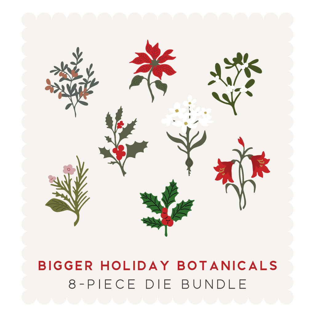 Bigger Holiday Botanicals Die BUNDLE