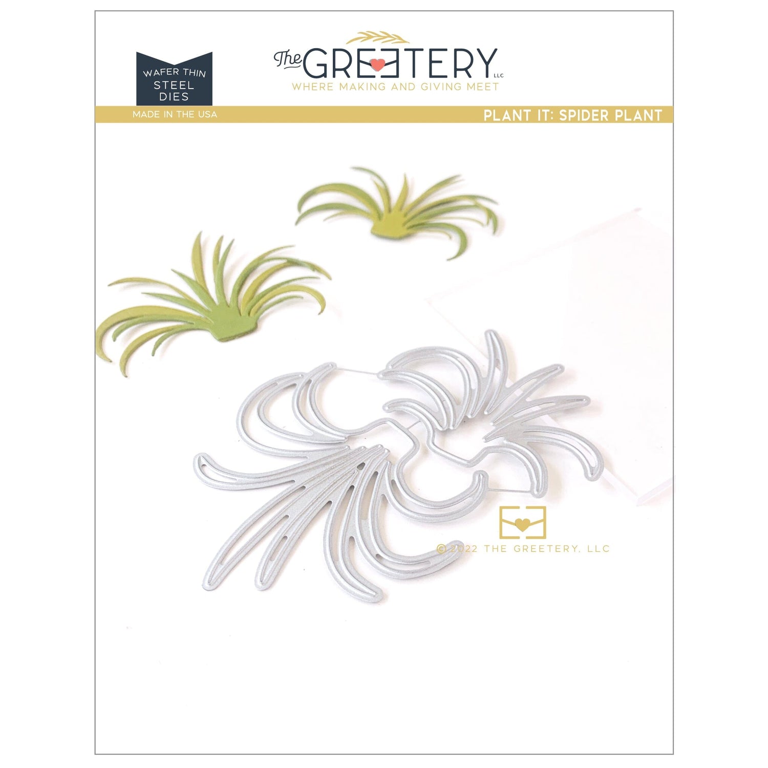 Plant it: Spider Plant Die