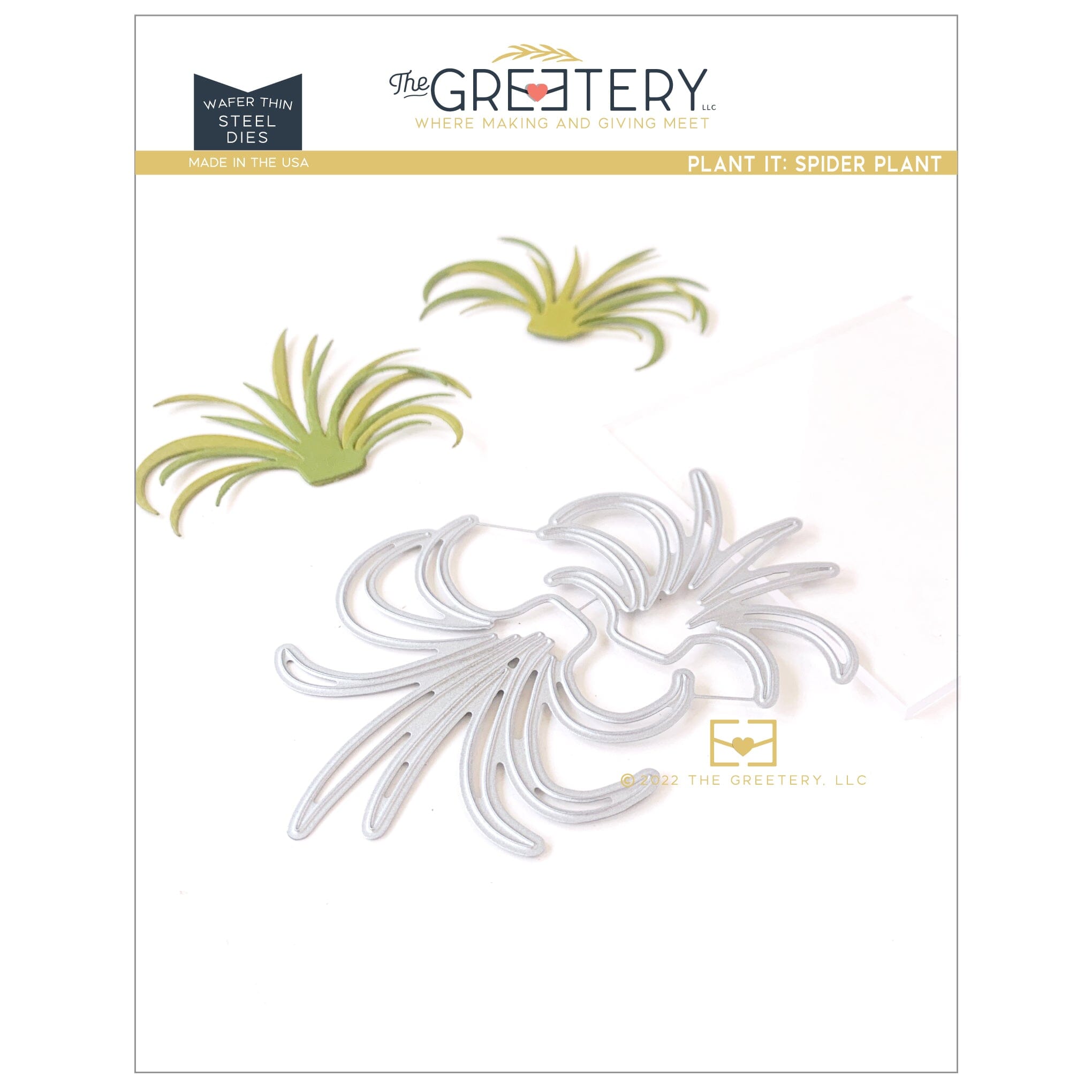 Plant it: Spider Plant Die