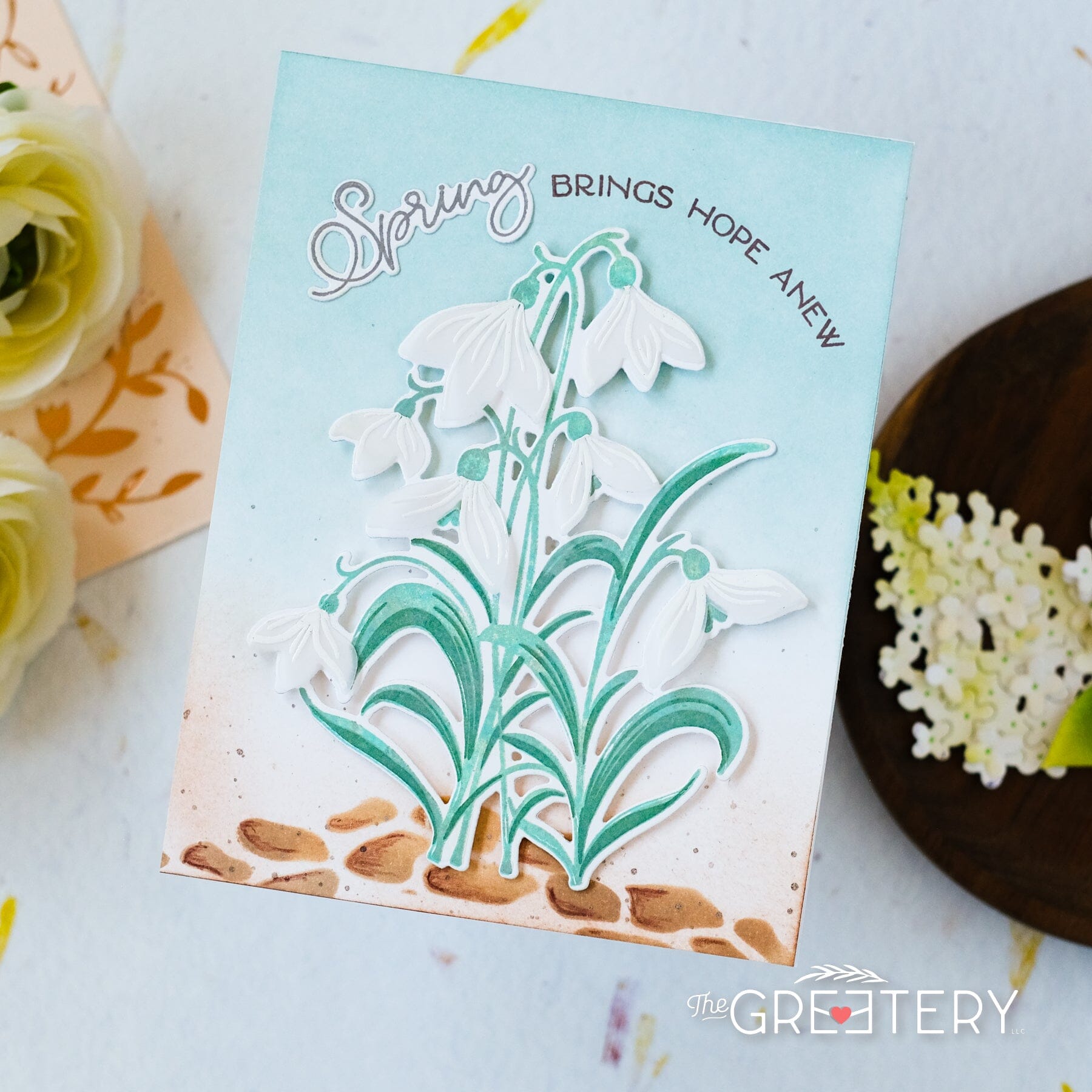 Spring Snowdrops Die