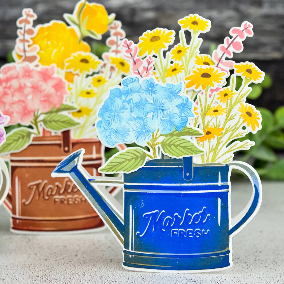 Sprinkled with Kindness Stamp Set