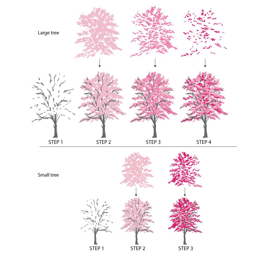 Fir & Foliage No. 1 Stamp Set