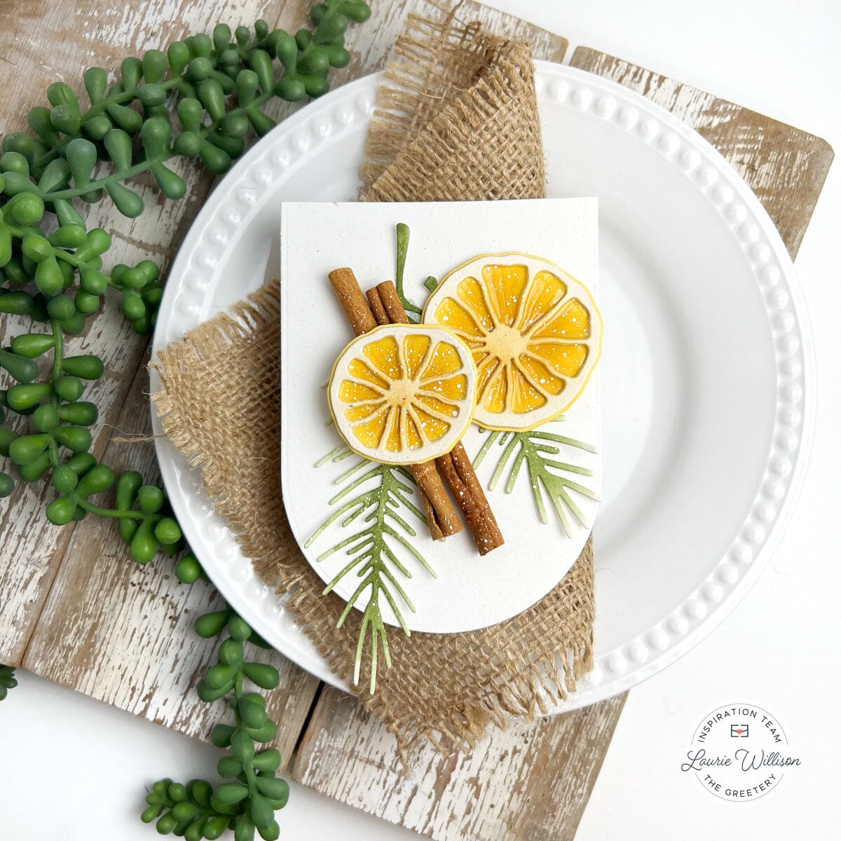 Dried Citrus Slices Die
