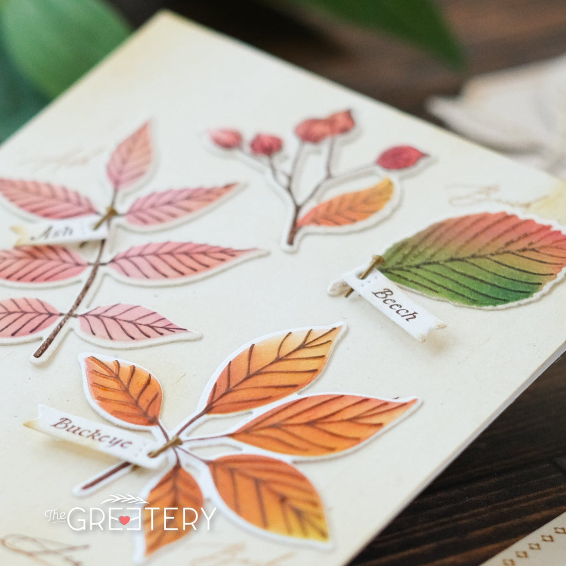 Autumn Herbarium Labels Stamp Set