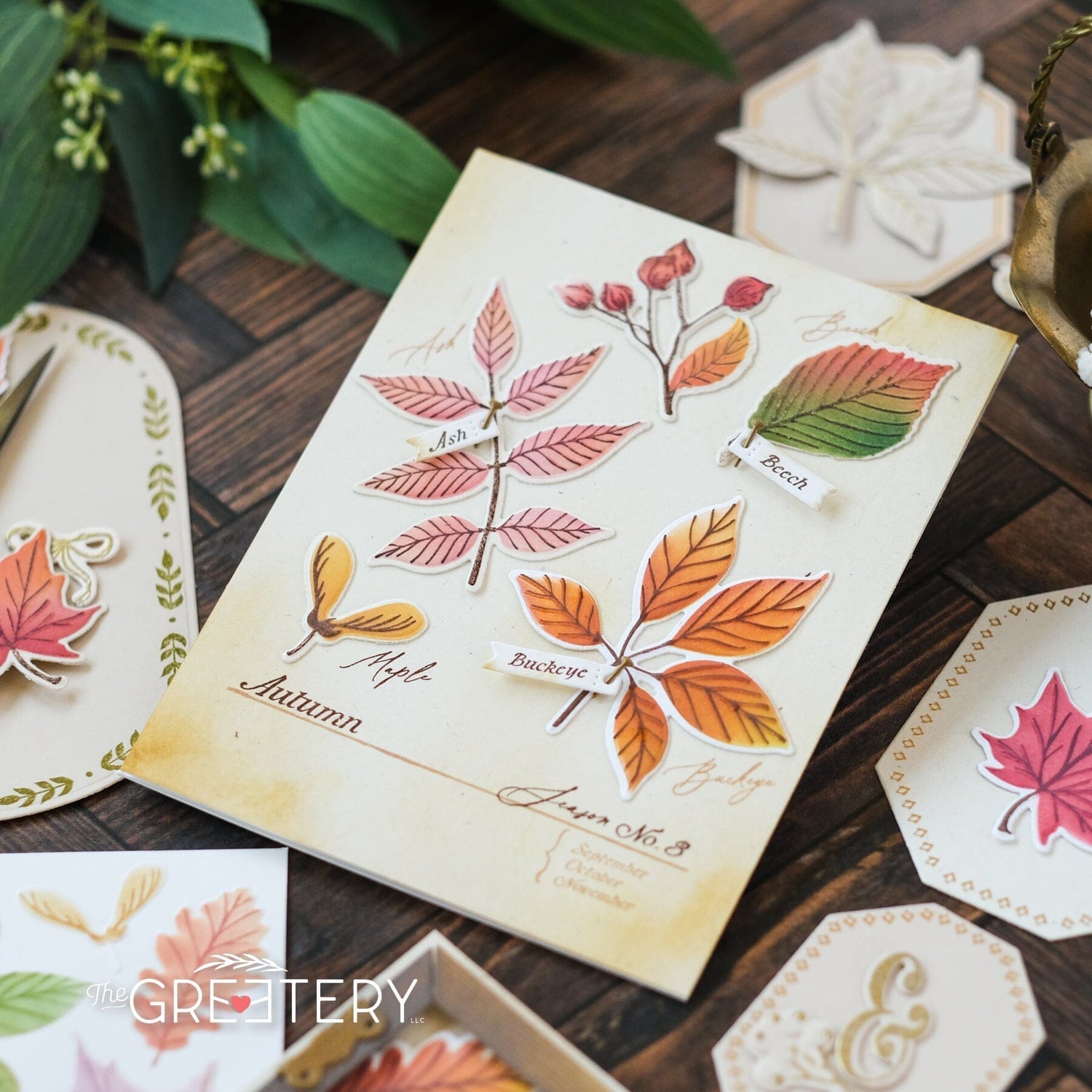 Autumn Herbarium Die