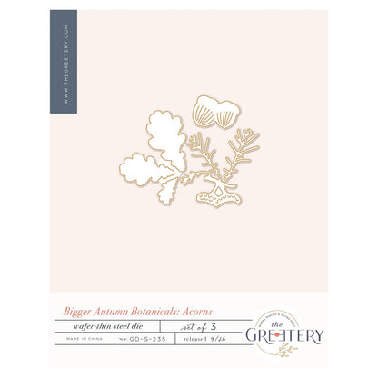 Bigger Autumn Botanicals Acorns Die