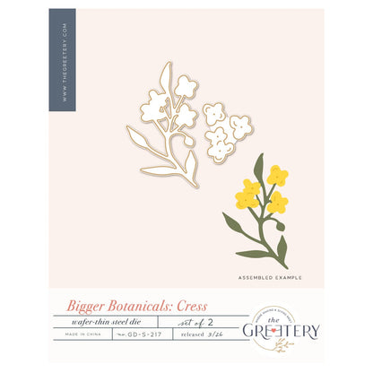 Bigger Botanicals: Cress Die