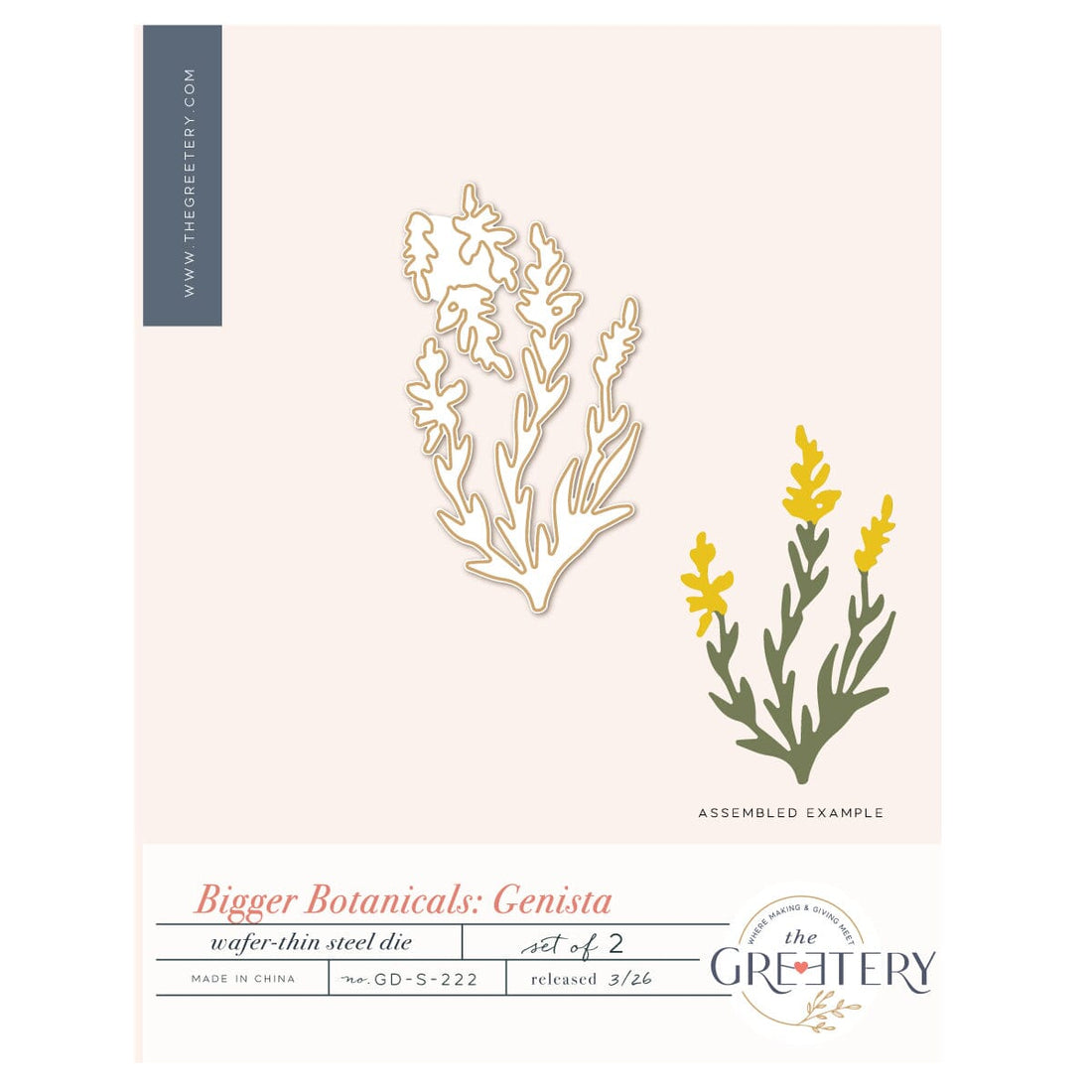 Bigger Botanicals: Genista Die