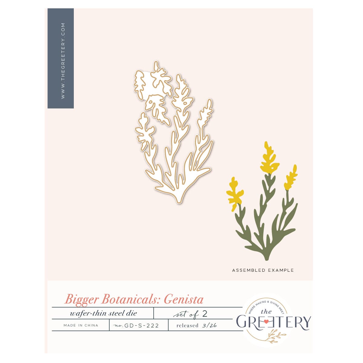 Bigger Botanicals: Genista Die