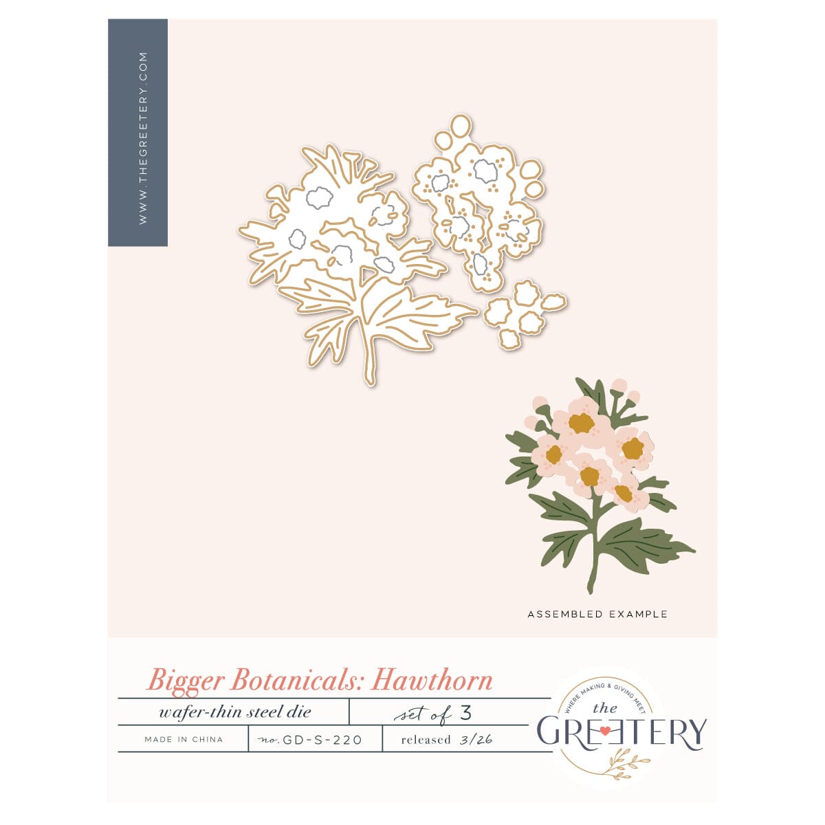 Bigger Botanicals: Hawthorn Die
