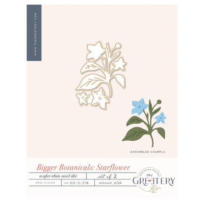 Bigger Botanicals: Starflower Die