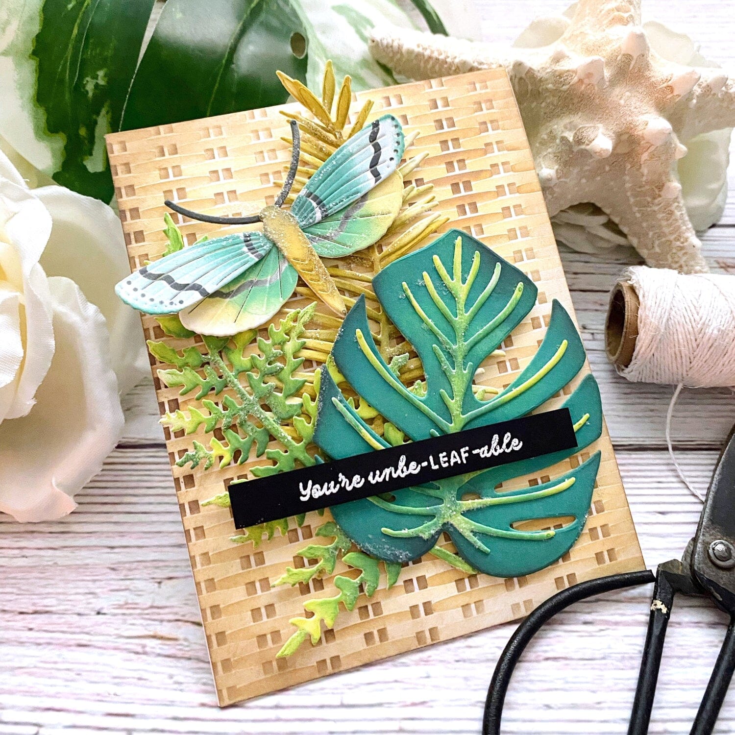 Large Leaves: Monstera Die