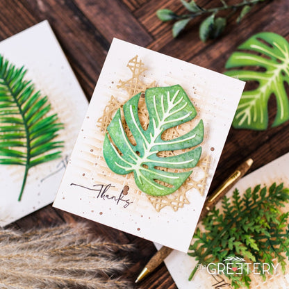 Large Leaves: Monstera Die