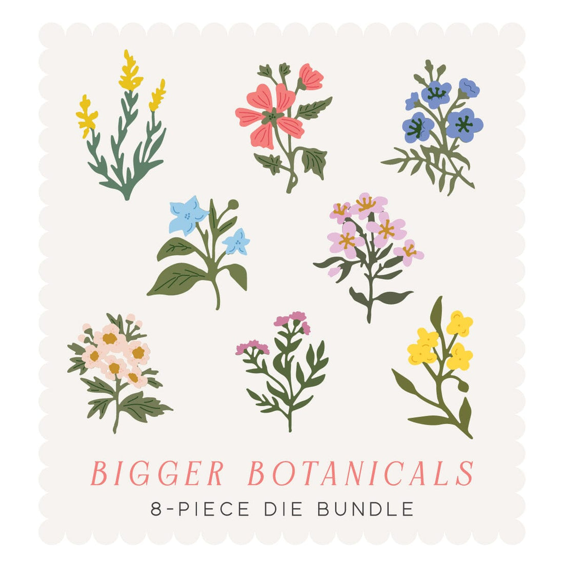 Bigger Botanicals Die BUNDLE