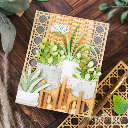 Plant it: Aloe Die
