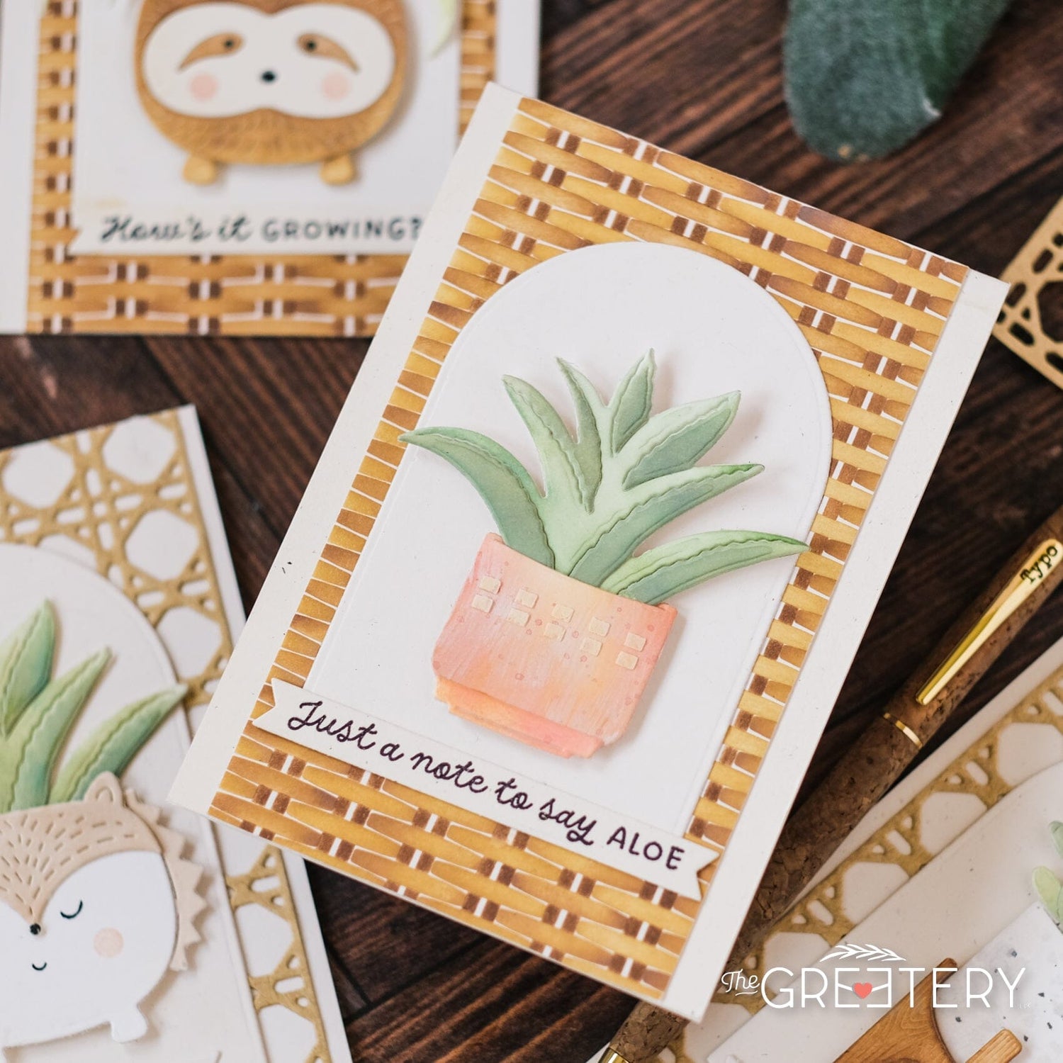 Plant it: Aloe Die