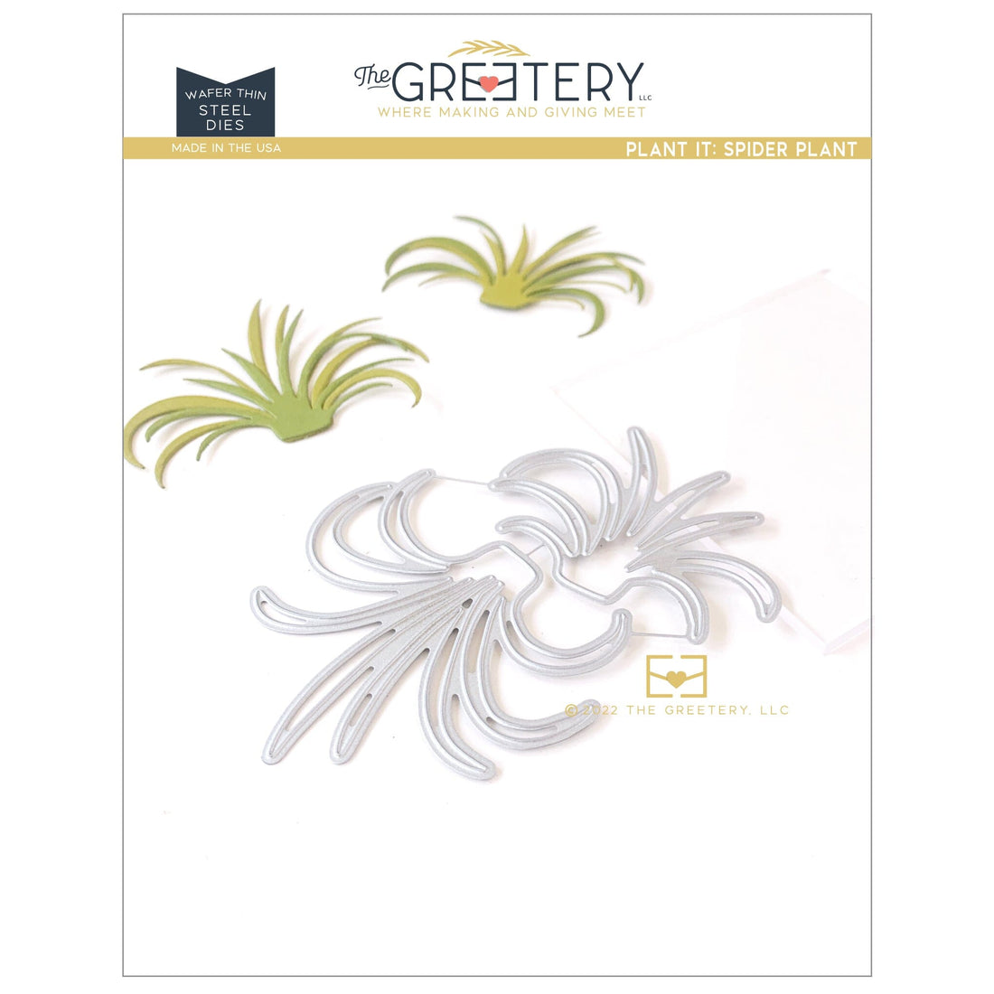 Plant it: Spider Plant Die