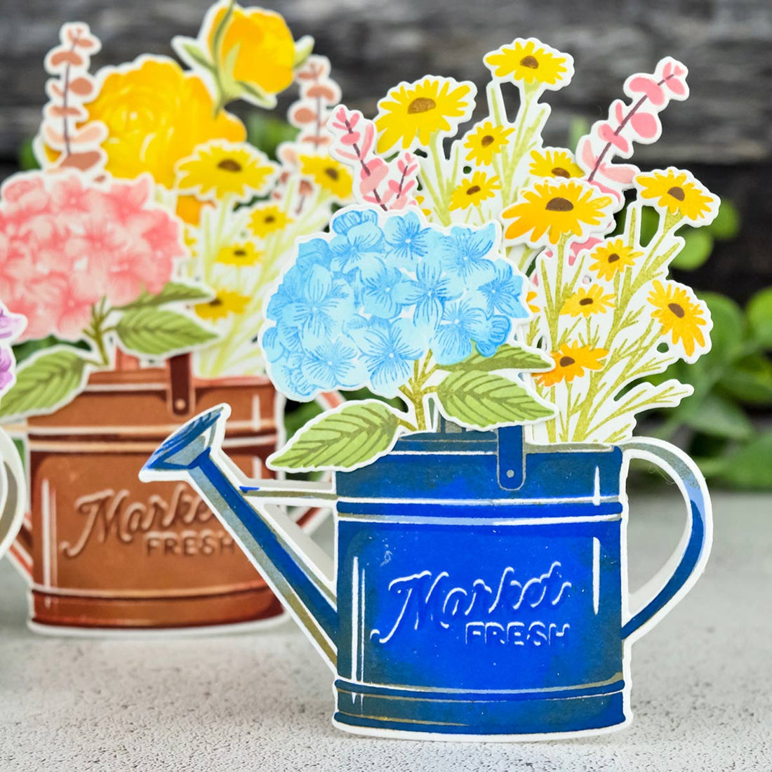 Sprinkled with Kindness Stamp Set