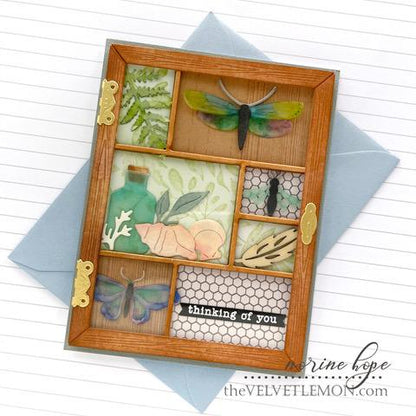 Curio: Cover Die