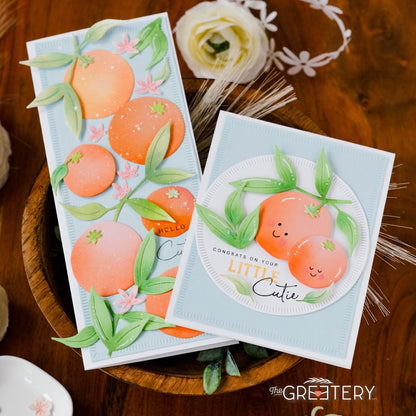 Baby Face Sentiments Stamp Set