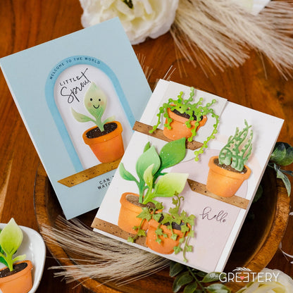 Baby Face: Sprout Die