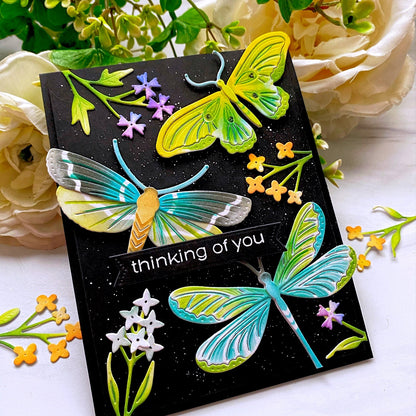 Jumbo Curiosity: Moth Die + Stencil