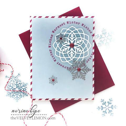 Catching Snowflakes Stamp Set