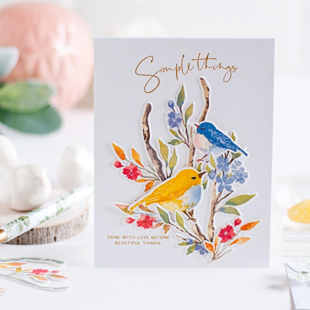 Robin &amp; Wren Stamp Set